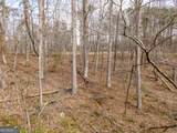 LT 167 Henderson Mountain Road - Photo 10