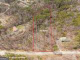 LT 167 Henderson Mountain Road - Photo 11