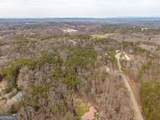 LT 167 Henderson Mountain Road - Photo 13