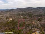 LT 167 Henderson Mountain Road - Photo 16