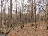LT 167 Henderson Mountain Road - Photo 4
