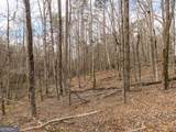 LT 167 Henderson Mountain Road - Photo 5