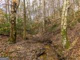 LT 167 Henderson Mountain Road - Photo 9