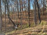 LOT# 208 Pinnacle Drive - Photo 3