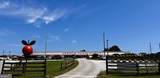 1583 Hickory Flat Road - Photo 76
