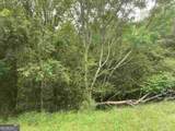 0 River Birch Lane - Photo 1
