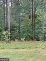 1270 Mcgarity Road - Photo 54