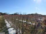 1019 D H Alderman Road - Photo 44
