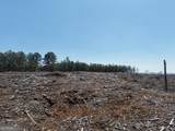 0 Young Loop - Photo 11