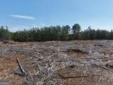 0 Young Loop - Photo 13