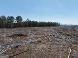 0 Young Loop - Photo 14