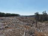 0 Young Loop - Photo 15