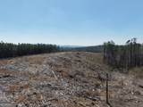 0 Young Loop - Photo 16