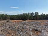 0 Young Loop - Photo 17