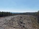 0 Young Loop - Photo 19