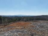 0 Young Loop - Photo 21