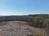 0 Young Loop - Photo 23
