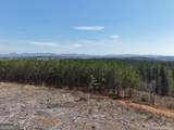 0 Young Loop - Photo 26