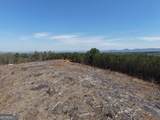 0 Young Loop - Photo 27