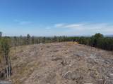 0 Young Loop - Photo 28