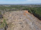 0 Young Loop - Photo 29