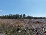 0 Young Loop - Photo 5