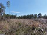 0 Young Loop - Photo 6