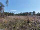 0 Young Loop - Photo 7