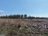 0 Young Loop - Photo 8