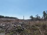 0 Young Loop - Photo 9