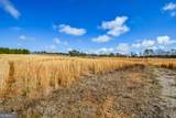 119 Inland 5 Acres Drive - Photo 7