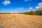 119 Inland 10 Acres Drive - Photo 15
