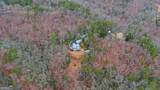 397 Early Drive - Photo 72