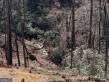 397 Early Drive - Photo 79