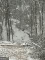 397 Early Drive - Photo 80