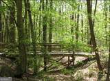 9885 Nature Mill Road - Photo 60