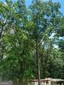 6394 Shore Drive - Photo 31