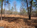 10.5 ACRES River Road - Photo 10