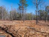 10.5 ACRES River Road - Photo 13