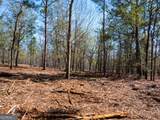 10.5 ACRES River Road - Photo 14