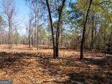10.5 ACRES River Road - Photo 16