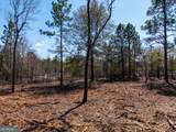 10.5 ACRES River Road - Photo 17