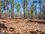 10.5 ACRES River Road - Photo 21