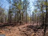 10.5 ACRES River Road - Photo 22