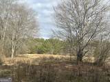 237 Riversong (Tract 10) - Photo 49