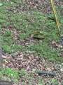 1225-1227 Oglethorpe Road - Photo 37