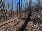 0 Brown Creek Road - Photo 10
