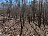 0 Brown Creek Road - Photo 12