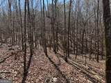 0 Brown Creek Road - Photo 13
