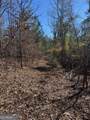 0 Brown Creek Road - Photo 22